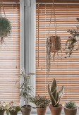 Żaluzja bambusowa w kolorze słomkowym 25mm o montażu inwazyjnym na skrzydle okiennym.